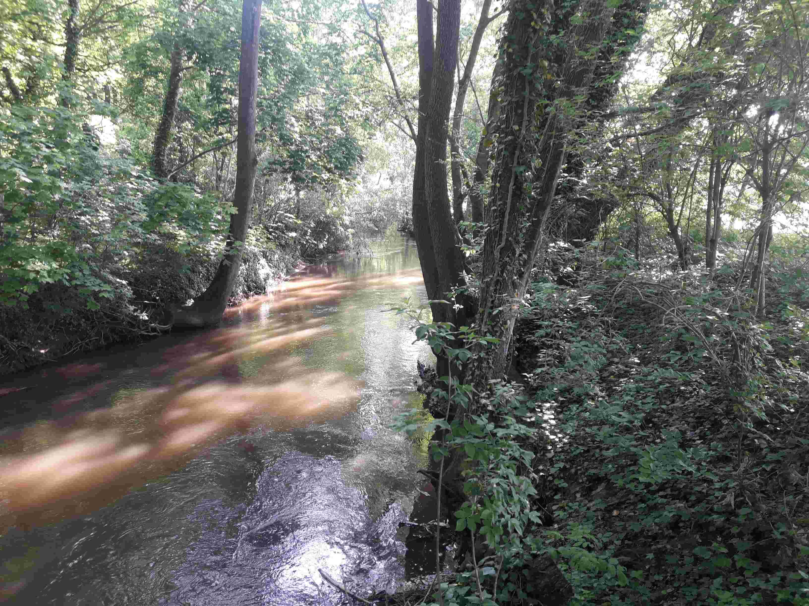 La Lauter