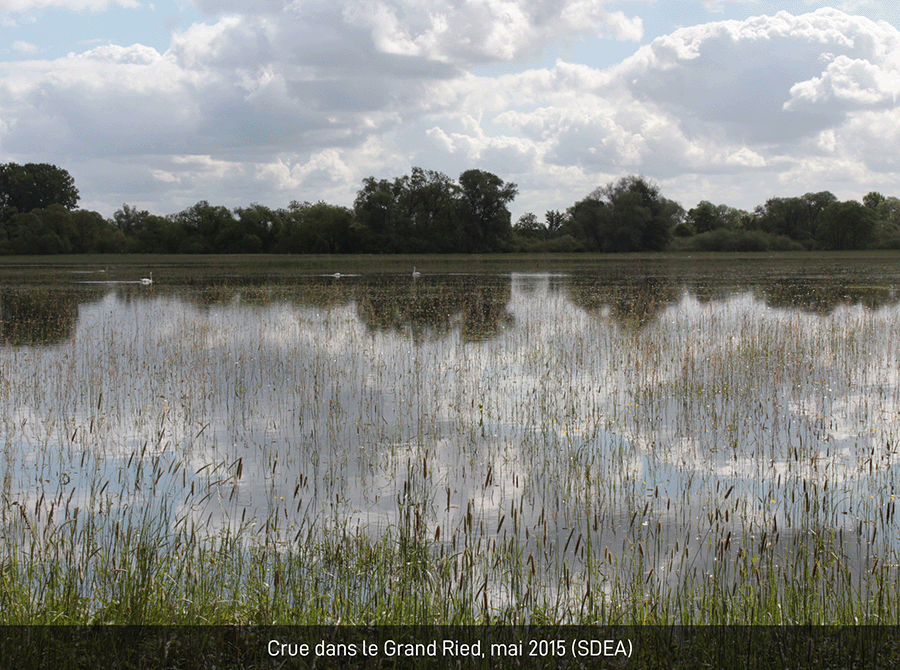 Photo crue grand ried 2015