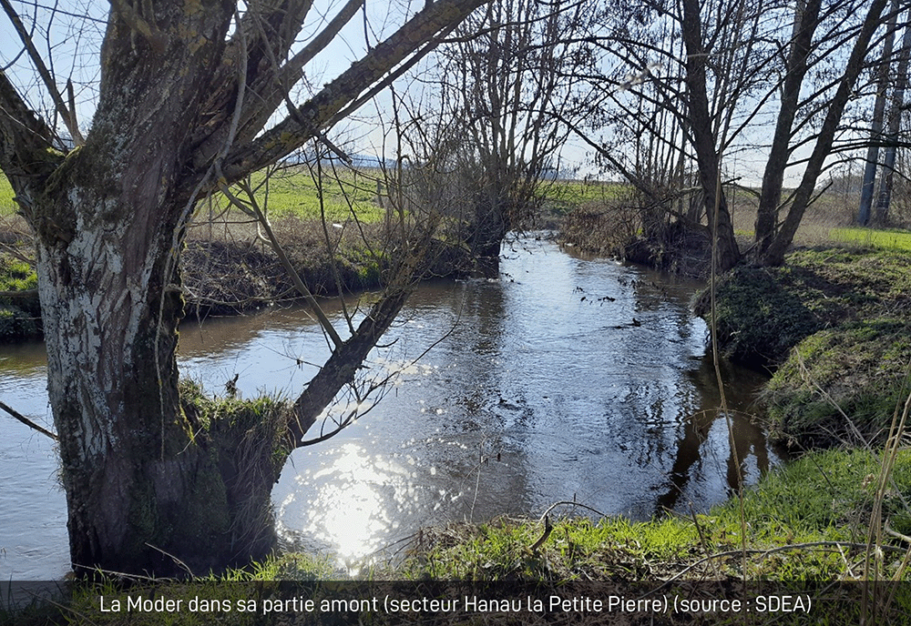 Photo La Moder partie amont secteur Hanau Petite Pierre