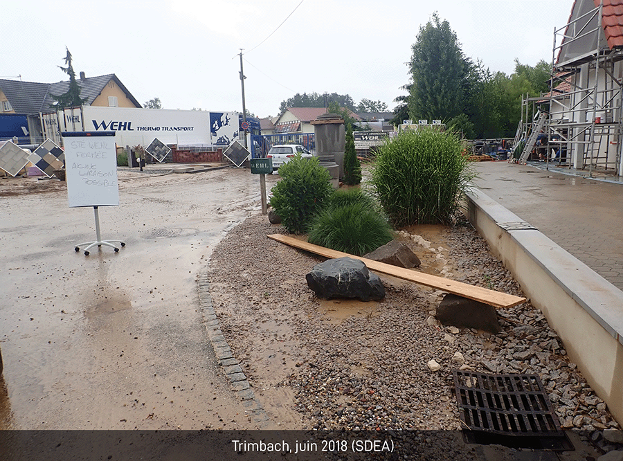 Photo Trimbach 2018