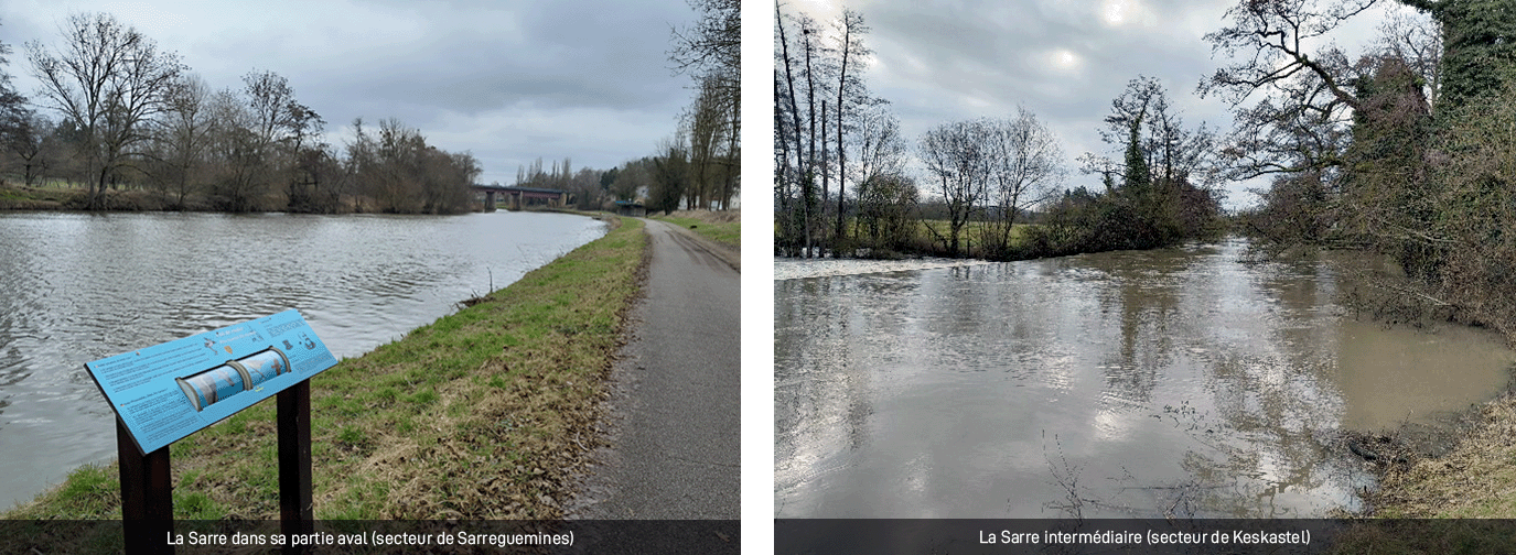 Sarre aval et intermédiaire