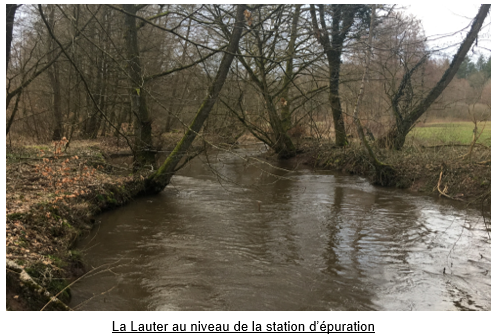 Lauter STEP Niederlauterbach